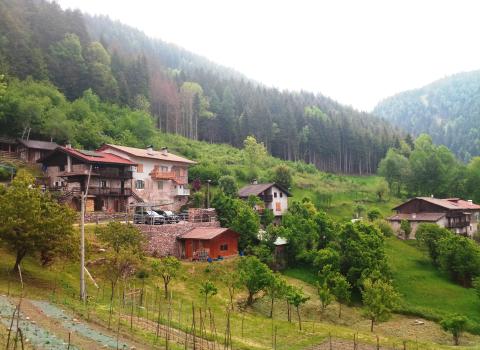 Voci dal bosco Voci dal bosco