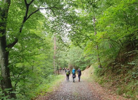 Il Piz de le Agole, balcone sulla valle Il Piz de le Agole, balcone sulla valle