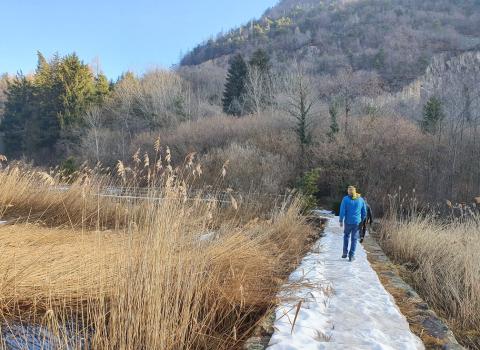 Il Lago di Lases e le “buse del giaz” Il Lago di Lases e le “buse del giaz”