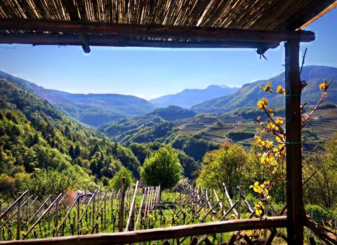 Il paese dei “Beghei”