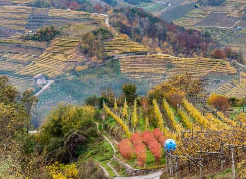 Il paese dei “Beghei” Il paese dei “Beghei”