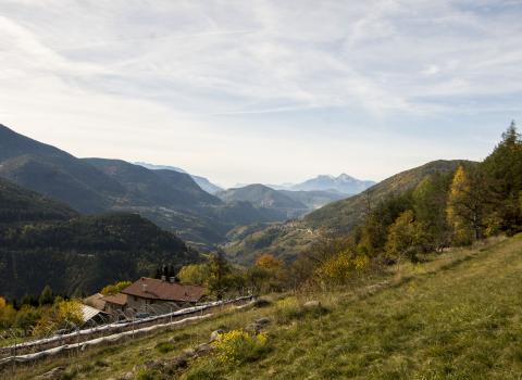 Il Lago di Valda, torbiera d'alta quota Il Lago di Valda, torbiera d'alta quota