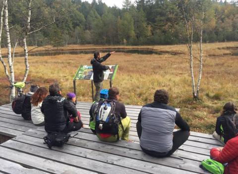 Il Lac del Vedes, scrigno di biodiversità Il Lac del Vedes, scrigno di biodiversità