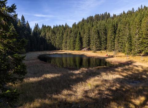 Le torbiere d'alta quota del Monte Corno Le torbiere d'alta quota del Monte Corno