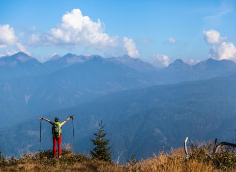 Le torbiere d'alta quota del Monte Corno Le torbiere d'alta quota del Monte Corno