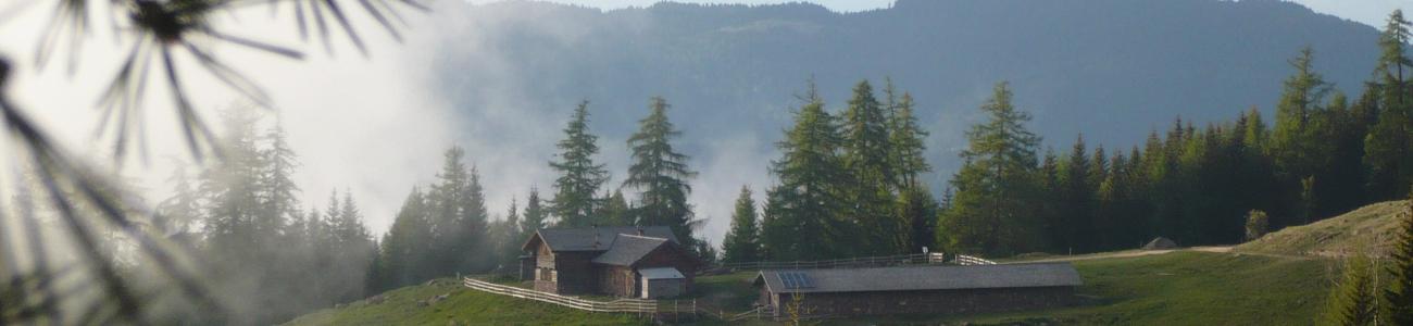 Alpeggi alle pendici del Lagorai Alpeggi alle pendici del Lagorai