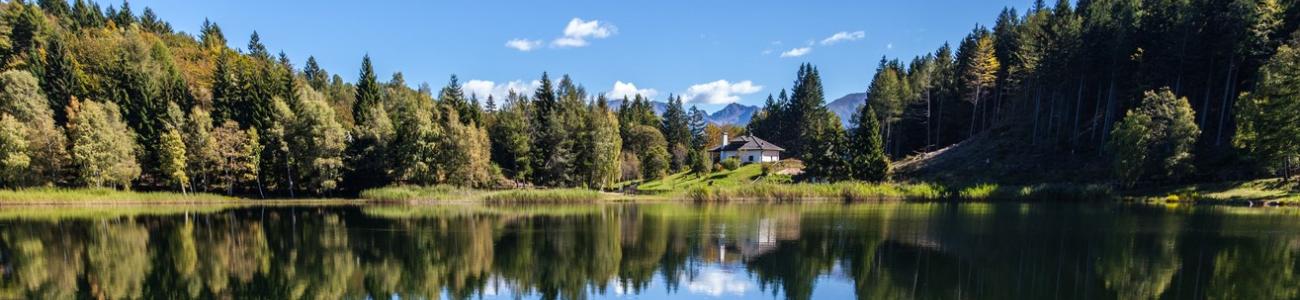 Il Lago Santo e la torbiera del Lagabrun Il Lago Santo e la torbiera del Lagabrun