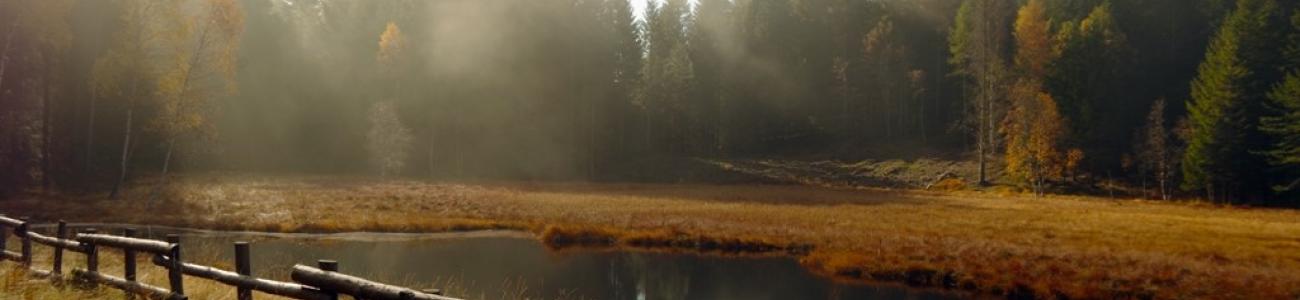 Il Lago di Valda, torbiera d'alta quota Il Lago di Valda, torbiera d'alta quota
