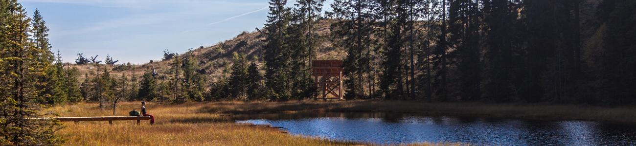 Le torbiere d'alta quota del Monte Corno Le torbiere d'alta quota del Monte Corno