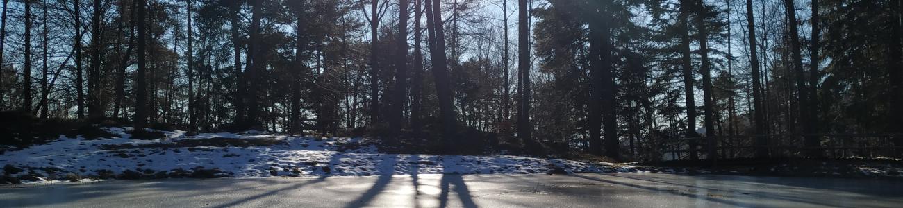 Riflessi d'inverno Riflessi d'inverno