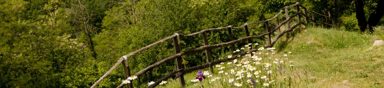 SVM sponda Sover SVM sponda Sover