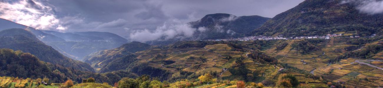 I Colori dell'Autunno I Colori dell'Autunno