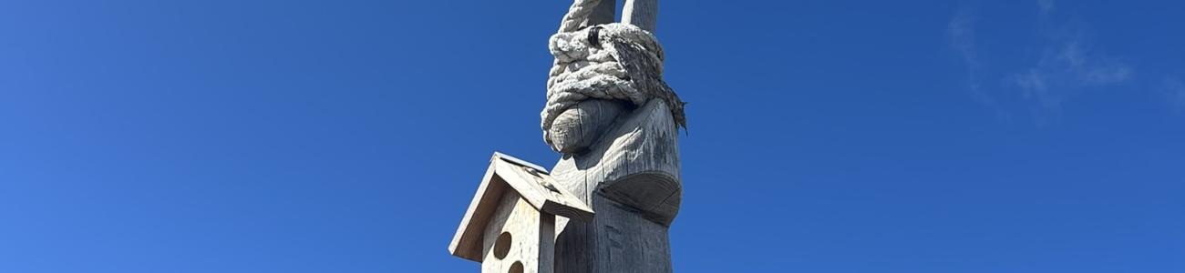 Il Monte Fregasoga