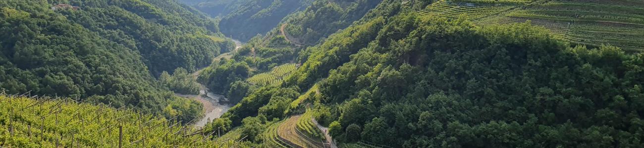 San Leonardo e le campagne di Lisignago